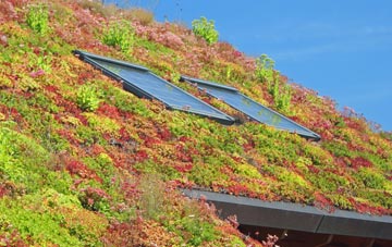 Aviemore living roof systems